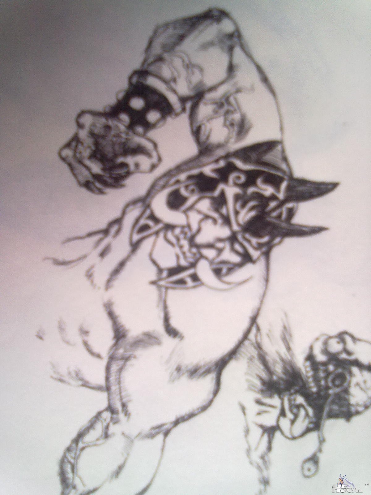 20111106115.jpg