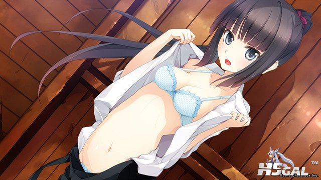 c724551sample2.jpg