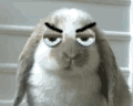 未命名.gif