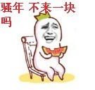 15.jpg