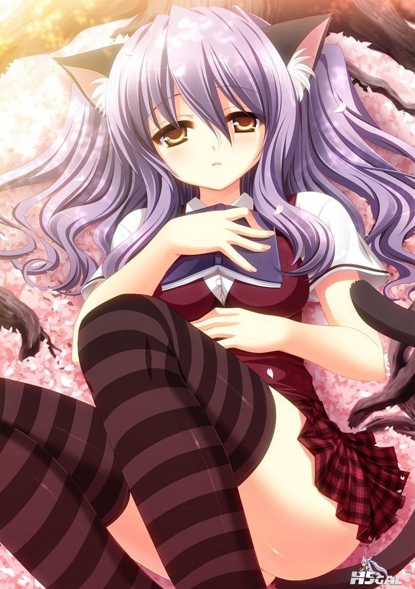 moe 173302 sample.jpg