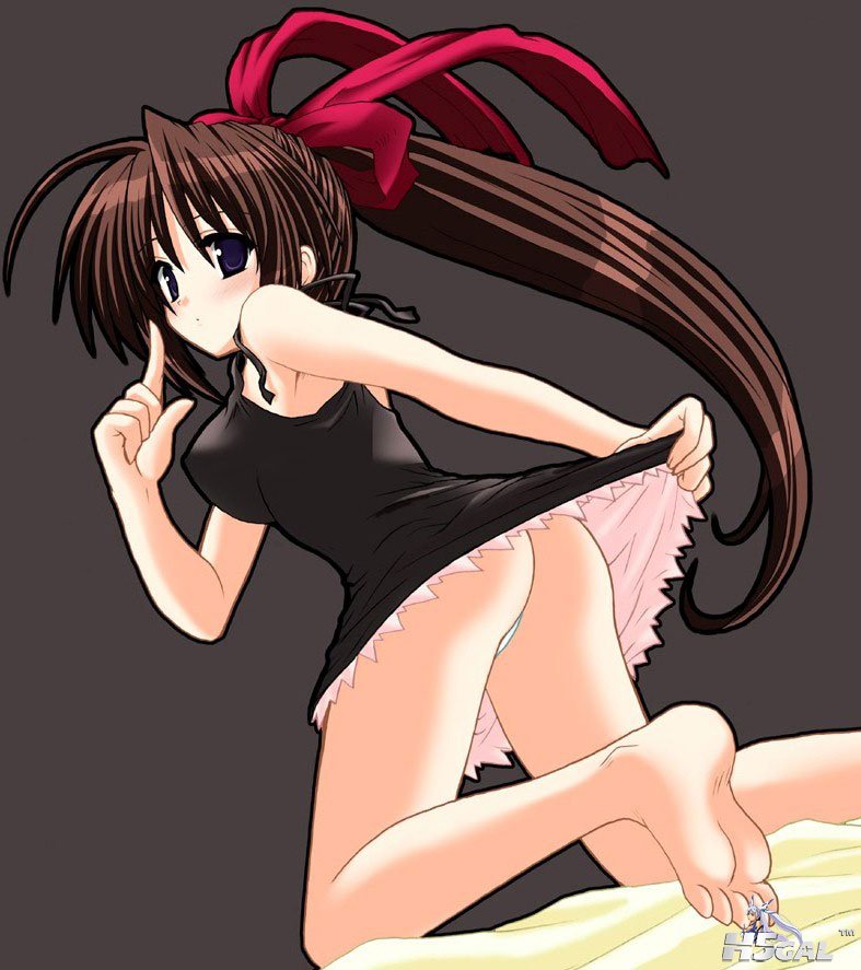 团子01.jpg