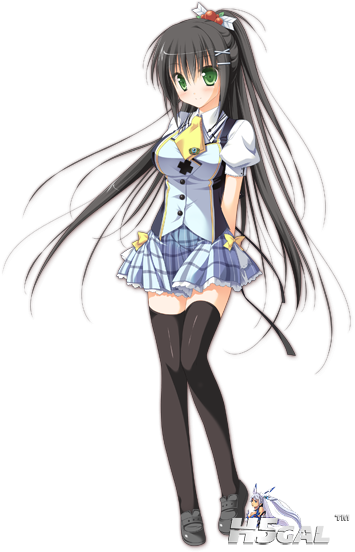 tsu_img.png