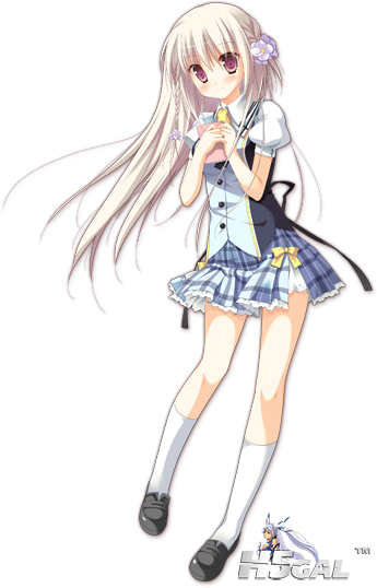 ush_img.png