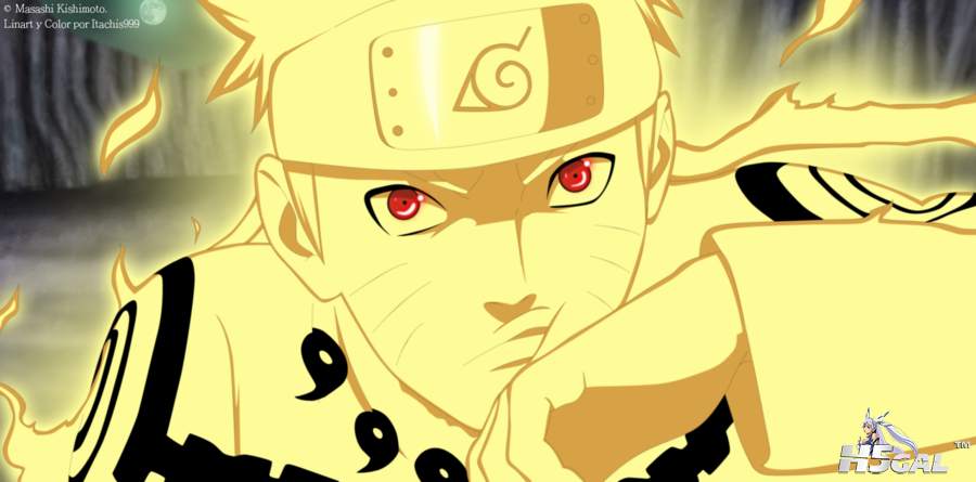 TOP2011 900x445.png