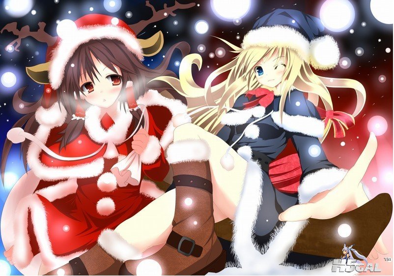 a2.jpg