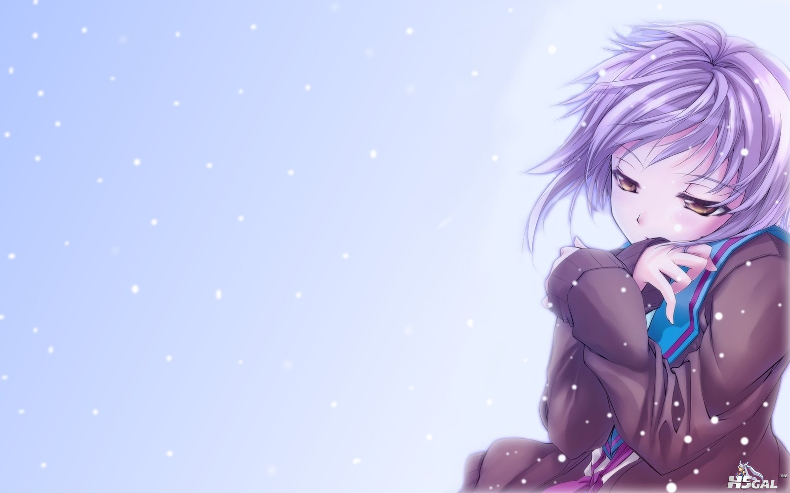 1253450_2000x1000_0.JPG