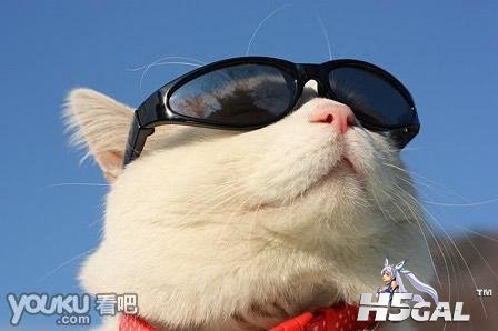 1001201009181549124DB416A3D5DC66A560BEA0899052520F.jpg