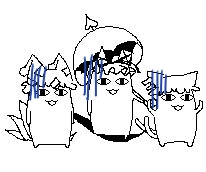 146.jpg