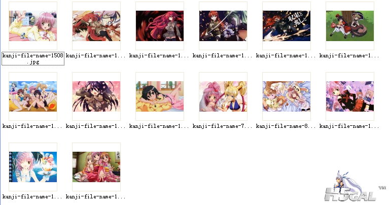 预览4.png