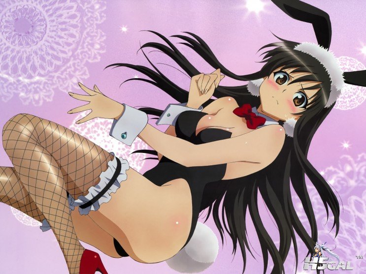 团子3.jpg