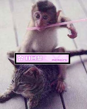 G0@L623~3LM{UY36QNP}K[O.JPG