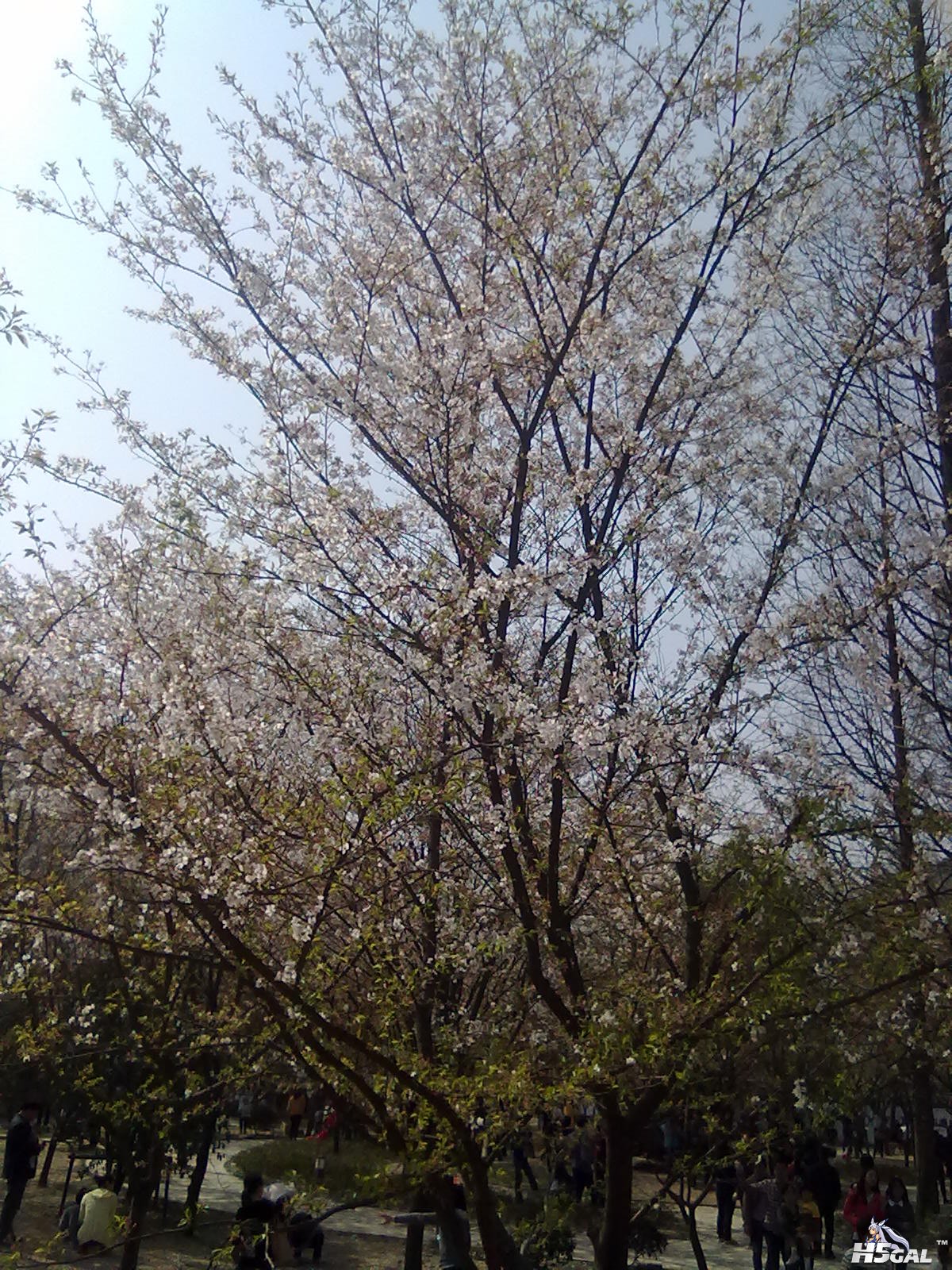201204031091.jpg