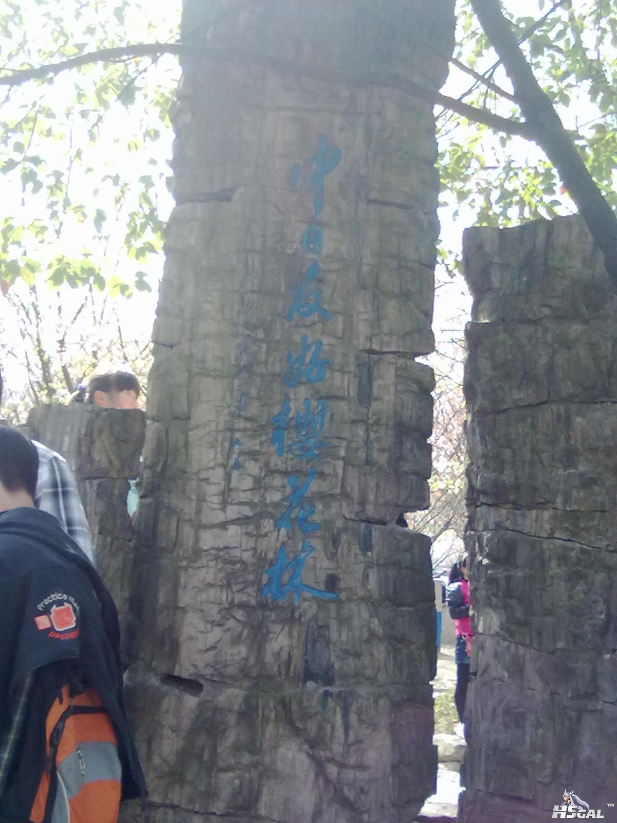 201204031093.jpg