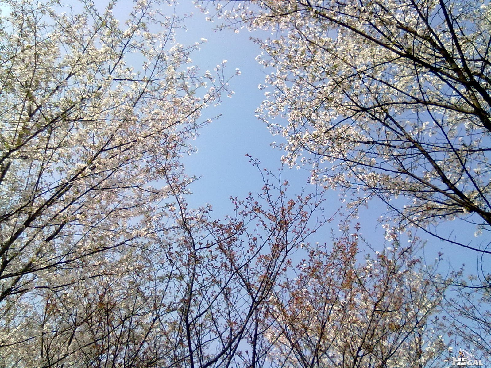 201204031094.jpg