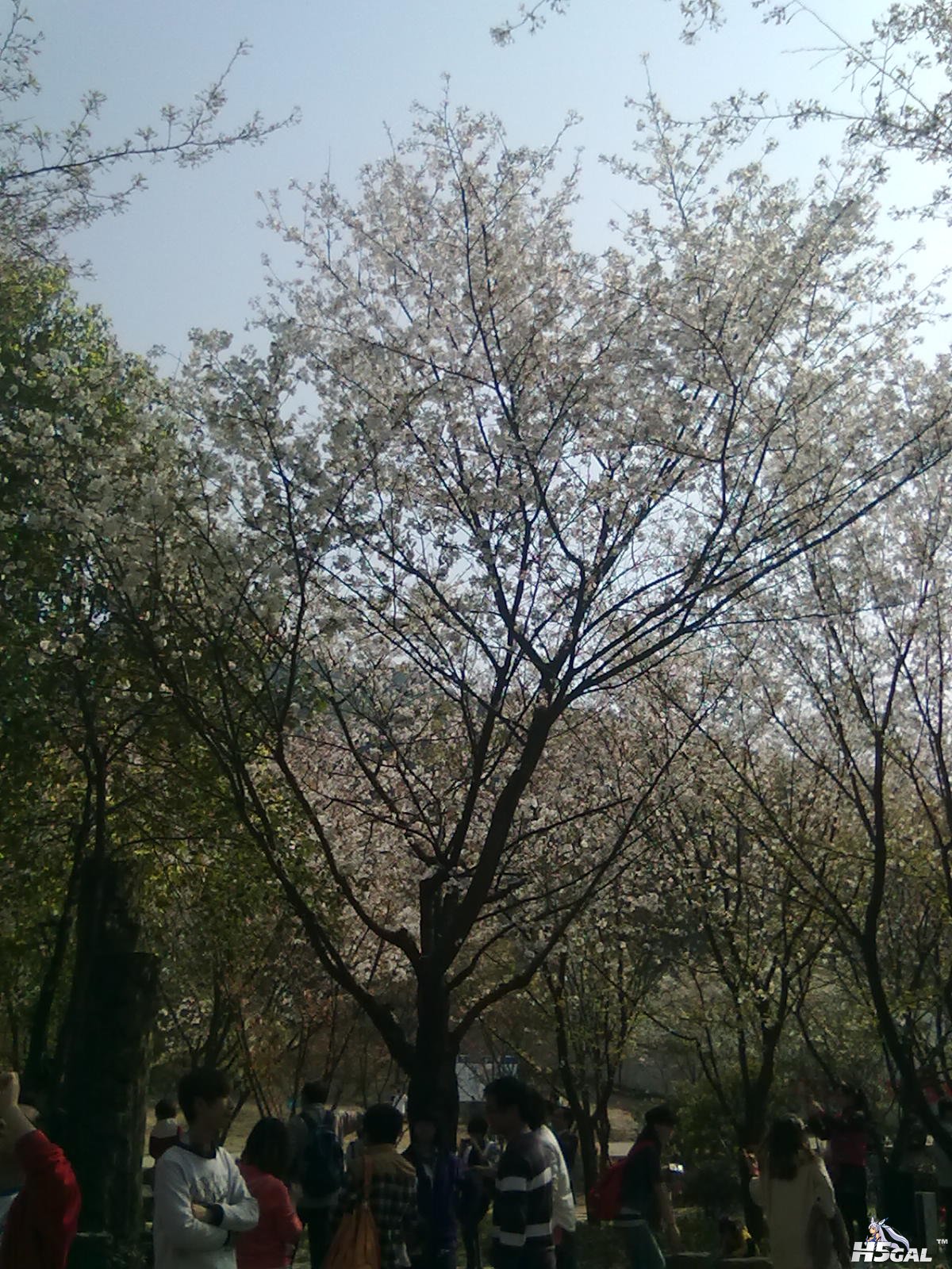 201204031095.jpg