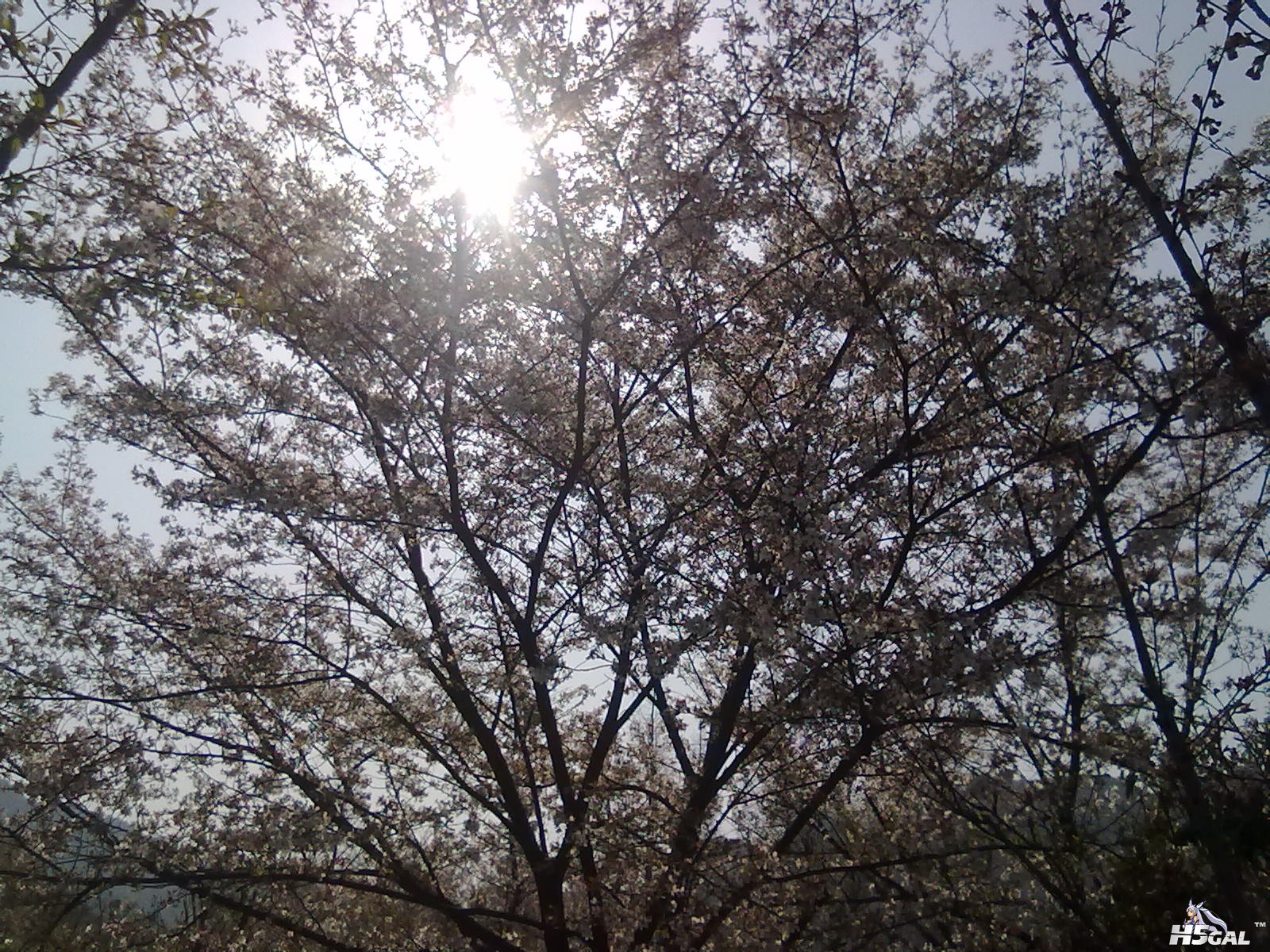 201204031097.jpg