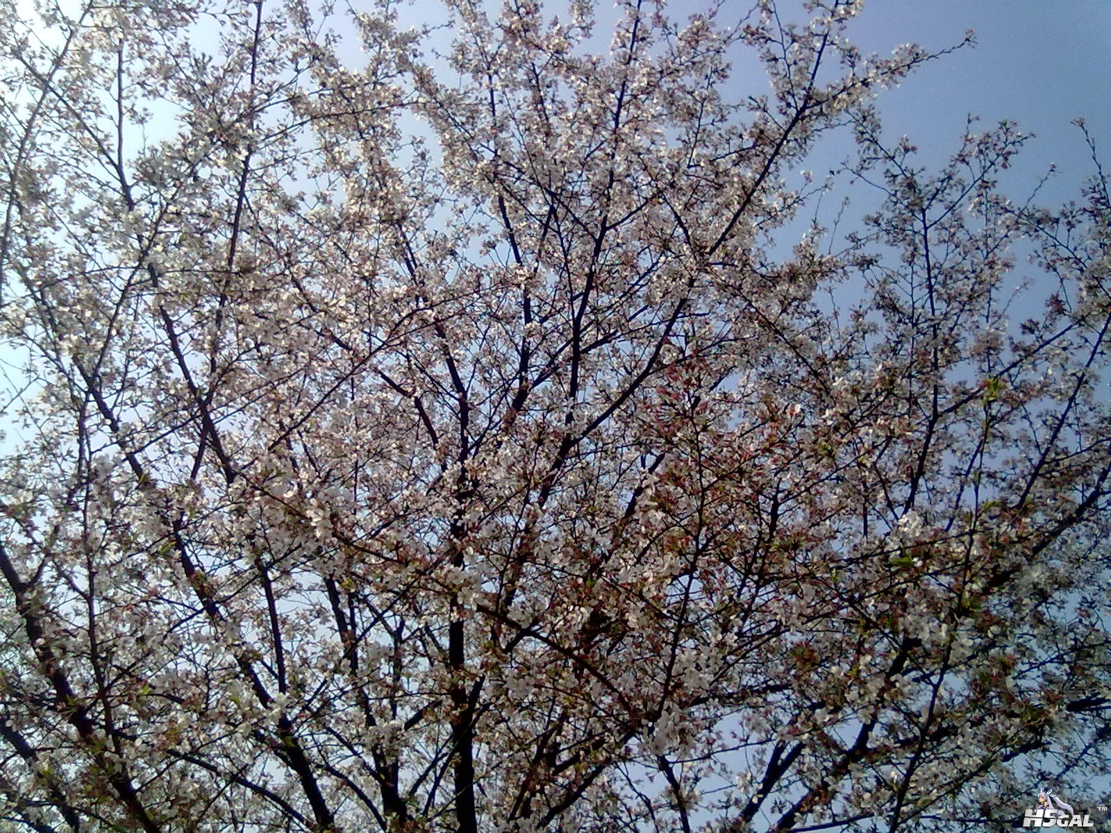 201204031099.jpg