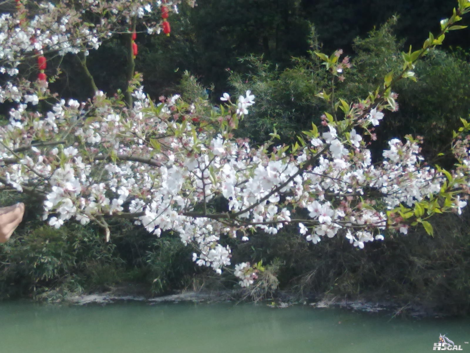 201204031103.jpg
