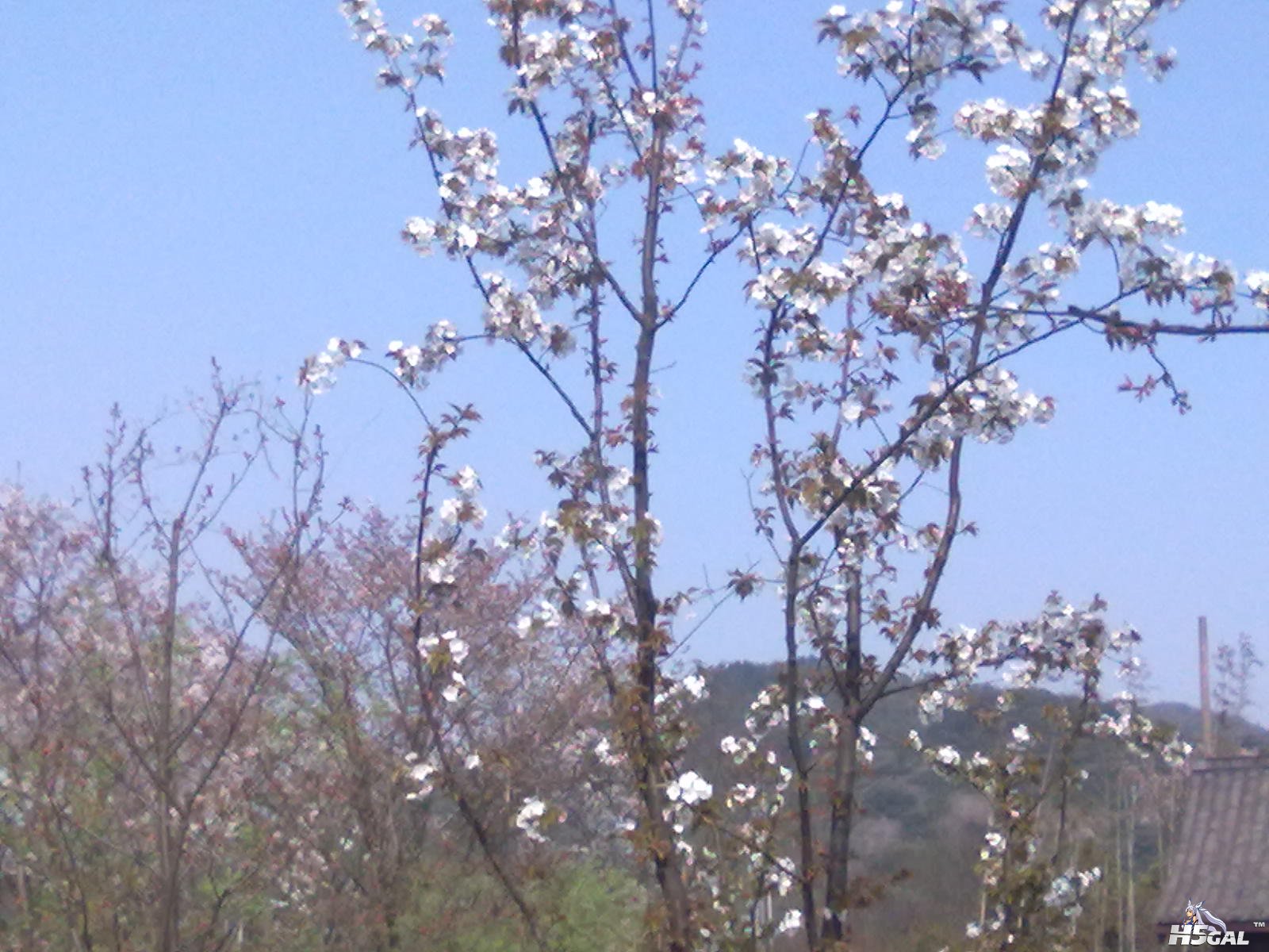 201204031114.jpg