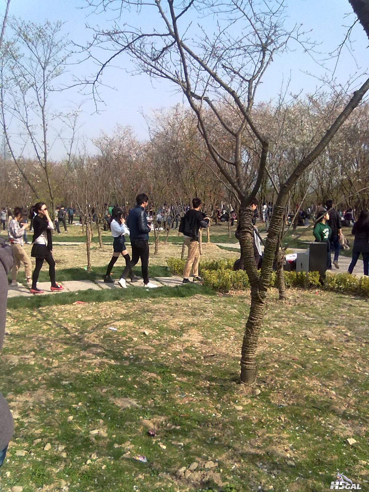 201204031113.jpg