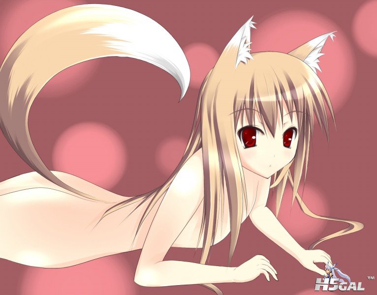 [天使动漫]狼与香辛料 Spice_and_Wolf 65.jpg