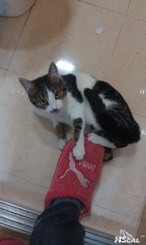 IMAG0117.jpg