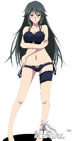 IS Infinite Stratos 织斑千东.jpg
