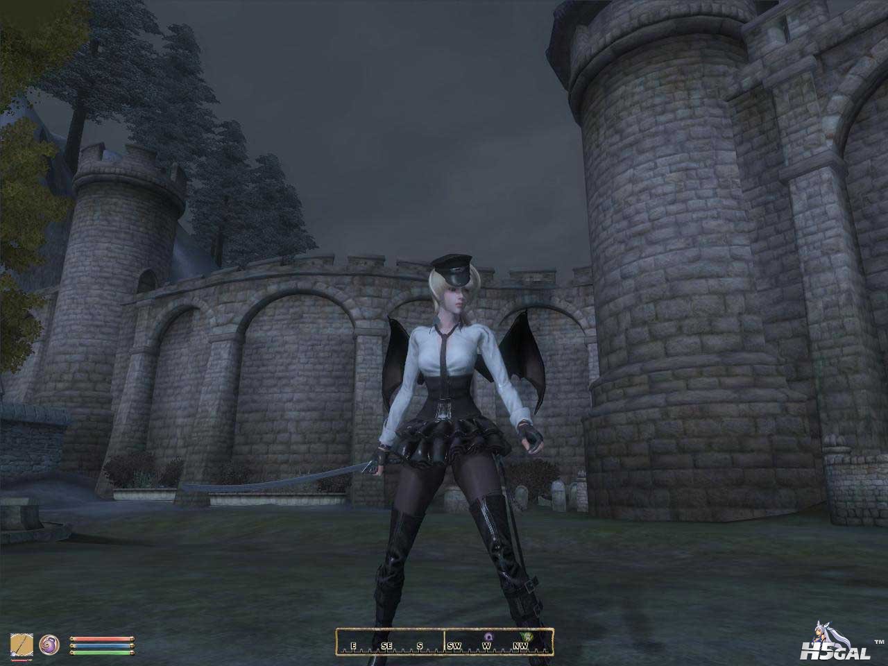 Oblivion 2012-04-22 20-02-15-70 副本.jpg