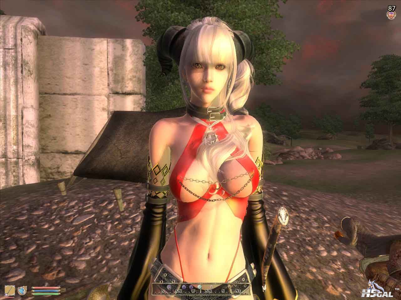 Oblivion 2012-04-22 18-38-36-53 副本.jpg