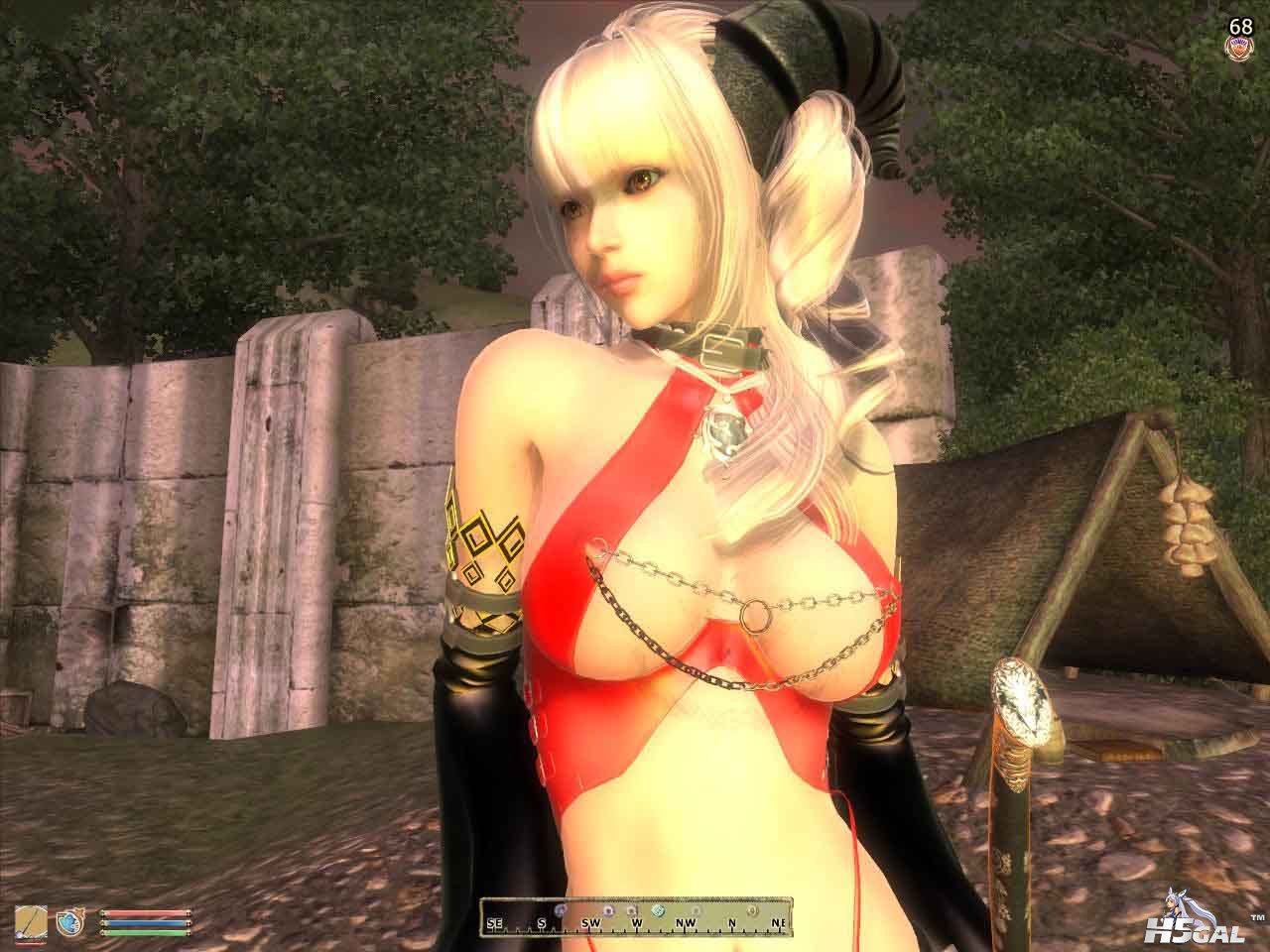 Oblivion 2012-04-22 18-38-56-73 副本.jpg