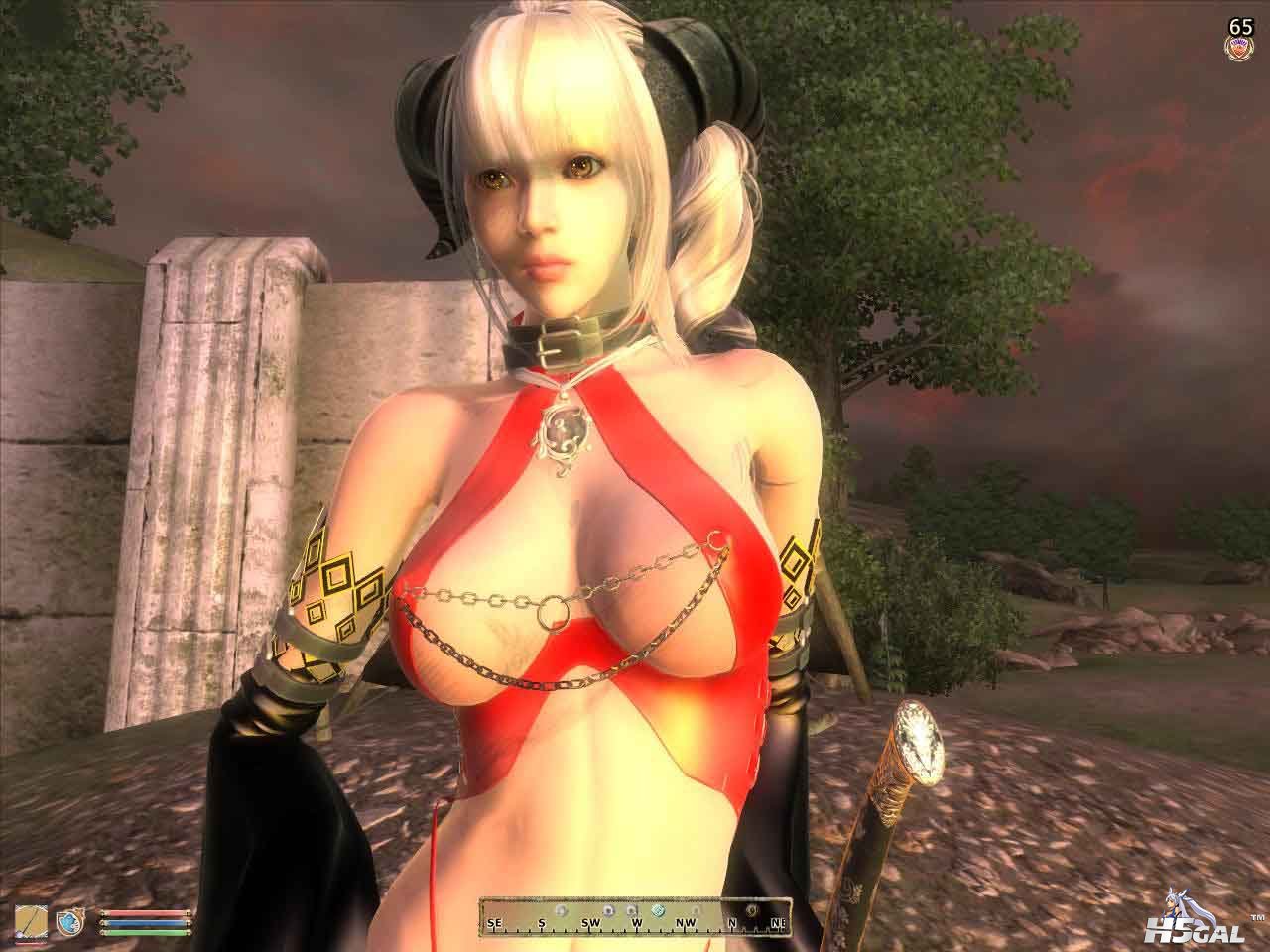Oblivion 2012-04-22 18-38-59-20 副本.jpg
