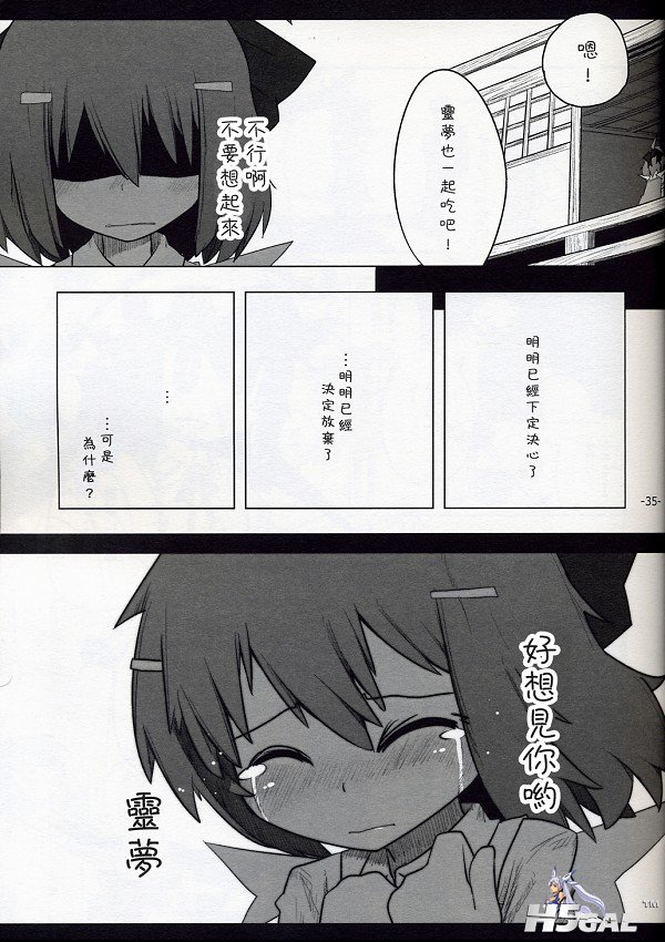reim034.jpg