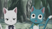 13.gif