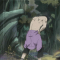17.gif