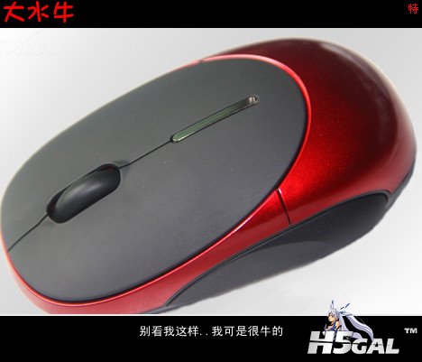 大水牛.jpg