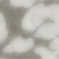 38.gif