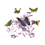 0045.gif