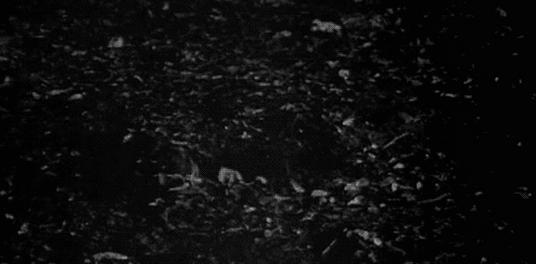 191926cz2dyqarstccc72y.gif