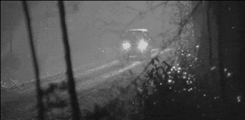 192126sz2sv2yiyzl2y2v2.gif
