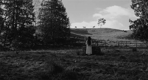 192142jzihh66a6hoy448i.gif