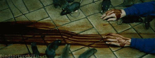 1922190pq9qvpssis68qnn.gif