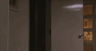 19191404x0s0i5lmq9l5wn.gif