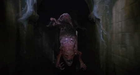 1920318644bp94f56vbmi8.gif