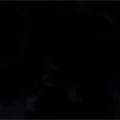 41.gif