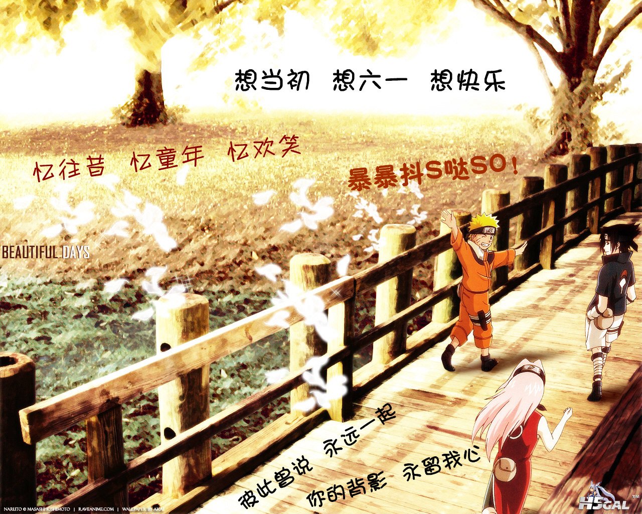 20100521052031278[1]_副本.jpg