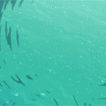 3.gif