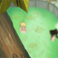 20.gif