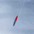 30.gif
