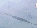 原村和.gif